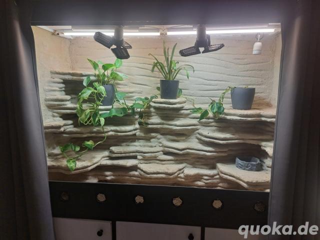 Terrarium 140x110m - 1