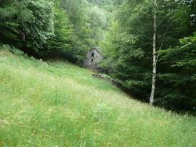 Berghütte im Unesco Weltkulturerbe, Haus im Unesco Weltkulturerbe, Berghaus, Berghütte, - 1